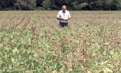Decreto de emergência do governo ajuda produtores rurais a reduzir prejuízos em função da estiagem